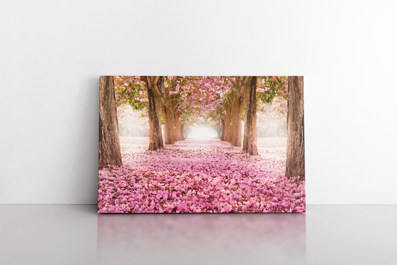 Forest in Pink Colors