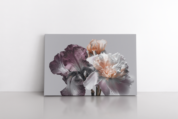 Peony And Iris On A Gray Background