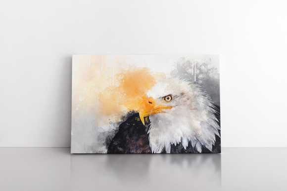 Eagle American Bird