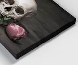 Classic Style of Still Life Skull With Rose