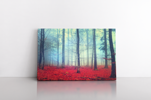 Fantasy Autumn Color Forest Scene