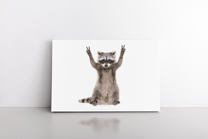 Funny Raccoon