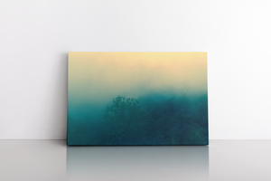 Foggy Forest Background