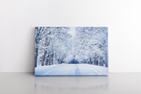 Road Through Frozen Forest with Snow