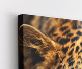 Leopard Portrait