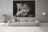 Portrait of a Sitting Lions Couple